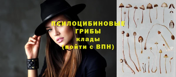 прущая мука Протвино