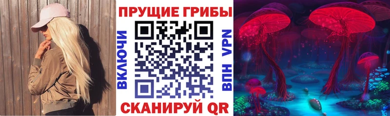 Галлюциногенные грибы мицелий  Никольск 
